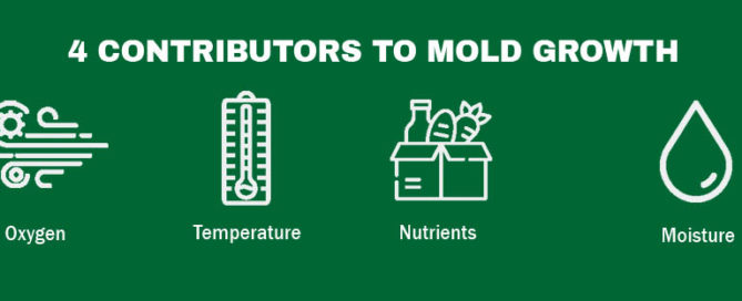 Pallet Mold Protection