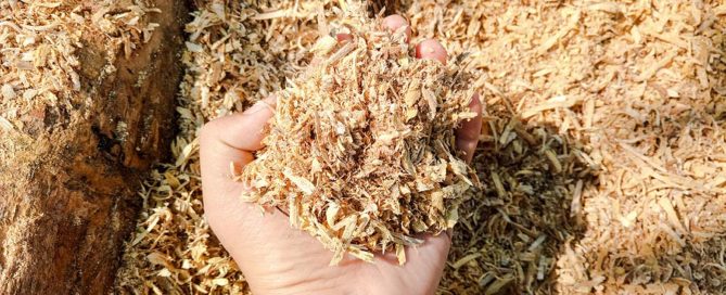 Saw Dust: Uses and Where to Buy